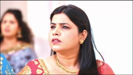 Apollena - 31st January 2025